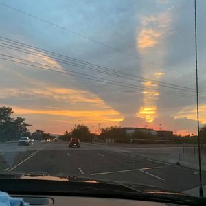 Meet your Posher, Precious